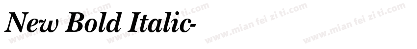 New Bold Italic字体转换